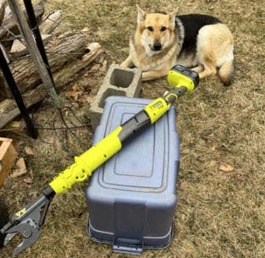 Ryobi Lopper Ryobi Lopper