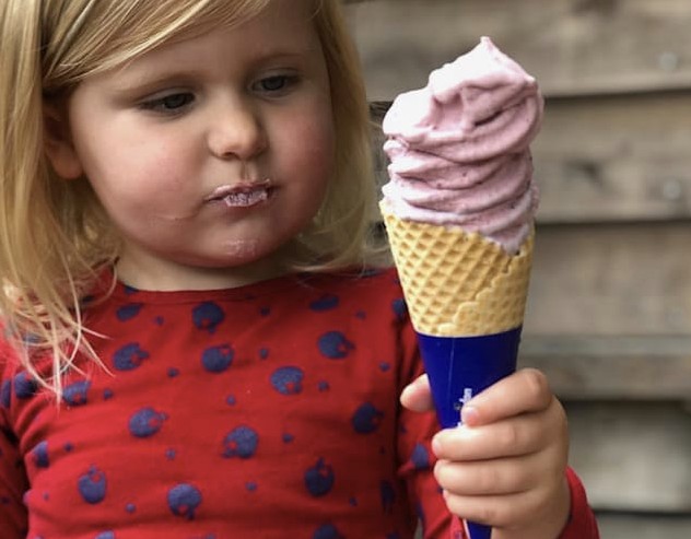 Ice Cream for Dinner Nixie