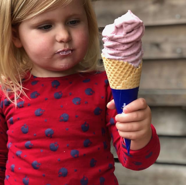 Ice cream for Dinner Nixie Ice cream for Dinner Nixie