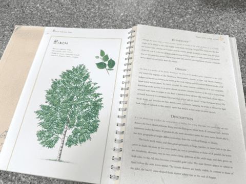 Library Book Sales Trees book birch Library Book Sales Trees book birch