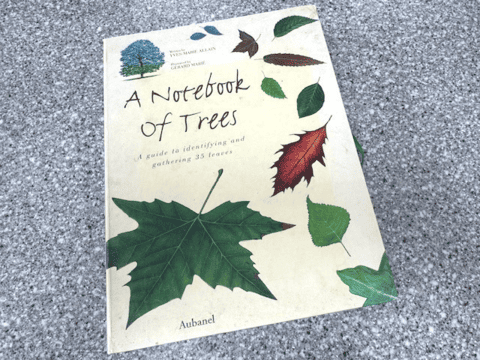 Library Book Sales A Notebook of Trees Library Book Sales A Notebook of Trees