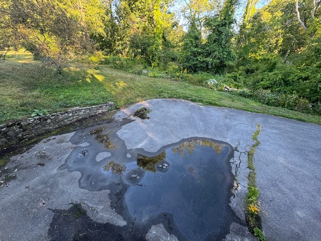 Driveway Before