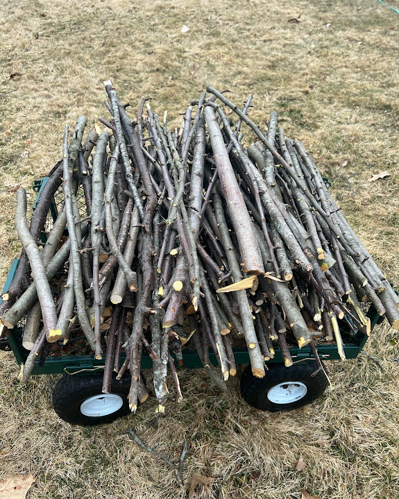 firewood kindling applewood firewood kindling applewood