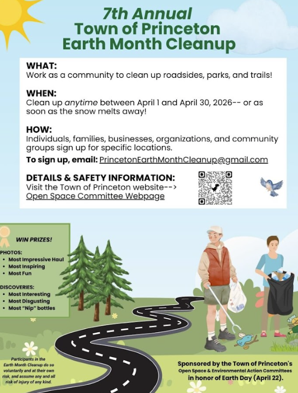 Princeton Town Wide Cleanup