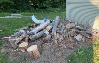 Firewood pile