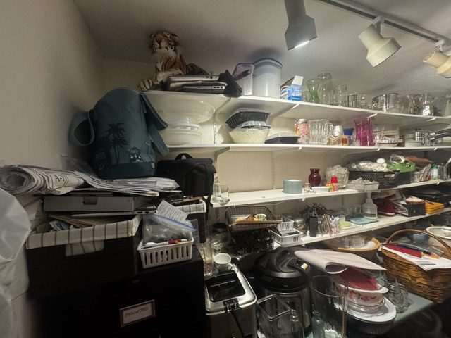 Home Organizer Pantry Before 2